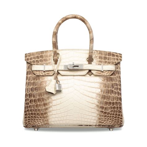 niloticus crocodile himalaya birkin